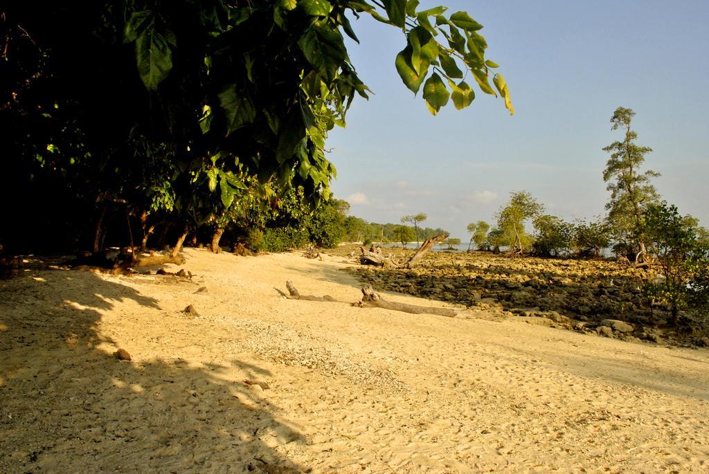 Hotel Sea Shell Neil à Lakshmanpur Extérieur photo
